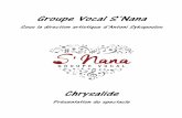 Groupe Vocal S’Nana presentation.pdf · chant classique au jazz, en passant par le blues, la chanson française, les percussions, ... Au sein du groupe, le soutien rythmique est