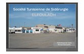 Société Tunisienne de Sidérurgie ELFOULADH - inc.nat.tn Copy... · 250.000 T de rond à béton 15.000 T de produits tréfilés 10.000 T de structures métalliques ... Fil pour