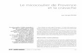 Le micocoulier de Provence et la cravache - Accueil€¦ · ment différé que d’une centaine d’années. En ... de dressage, cravache, bâton de marche, ... En effet, elle consiste