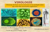 Eléments de base sur la structure et la multiplication … viro 1 2010.pdf · Le virus de la rage (rhabdoviridae) Nucléocapside plus ou moins flexible, enroulée sur elle-même