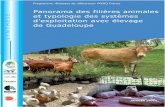 Panorama des filières animales et typologie des …€¦ · Panorama des filières animales et typologie des systèmes d’exploitation avec élevage SYNTHÈSE de Guadeloupe JANVIER