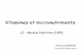 Vitamines et micronutriments - l2bichat2011 …l2bichat2011-2012.weebly.com/uploads/9/1/3/7/9137624/l2_vitamines.… · Introduction Nutriments : Macronutriments + Micronutriments