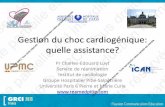 Gestion du patient en choc cardiogénique : quelle …€¦ · ASSIS CE pu *QUE E CARDIOLOGtE HÔPITAUX DE PARIS Gestiot) du choc cardiogénique: upmc GRCI France quelle assistance?