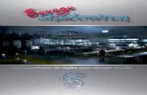 Sommairedata.over-blog-kiwi.com/0/02/75/01/20140216/ob_b29390_savageshad… · Introduction Introduction 3 L a quatrième édition de Shadowrun, si elle apporte une grande simpliﬁ