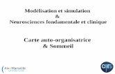Carte auto-organisatrice & Sommeil - touzet.org€¦ · Variation de durées en fonction de l'âge. ... Izard, V., & Dehaene, S. Acalculia and Gerstman's syndrome. In Cognitive and