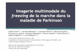 freezing de la marche dans la maladie de Parkinson · freezing de la marche dans la maladie de Parkinson Céline Tard1,2,a - Caroline Moreau1,2,a , Arnaud Delval1,2,a, Renaud Lopes1,c,