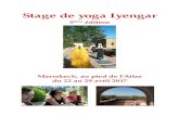 Stage de yoga Iyengar - darzouina.files.wordpress.com · Le lieu Le stage se déroulera dans un riad traditionnel, une belle villa marocaine, situé dans la vallée de l’Ourika