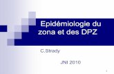 Arizona Epidémiologie du zona et des DPZ - Infectiologie · Évaluation par le patient de l’impact global du zona et des ... date de diagnostic : 2,6 jours (médiane : 2 ... Fiche