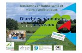 Diarrhées néonatales des veaux - Direction Régionale …draaf.bretagne.agriculture.gouv.fr/IMG/pdf/05_Diarrhees_veaux_CRAB... · Des bovins en bonne santé et moins d’antibiotiques