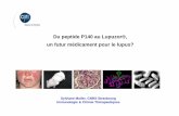 Du peptide P140 au Lupuzor®, un futur médicament … · Dans le lupus, HSC70 est ... - Se localise dans la rate et module des processus cellulaires gouvernant la présentation peptidique