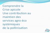Comprendre la Crise apicole Une contribution au …caser.cnam.fr/IMG/pdf/diaporama_Lecompte_abeilles_Cnam.pdf · Effets de Nosema ceranae (Microsporidia) sur la santé de l’abeille