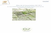 Bilan de la Concertation ZAC OZ 1 - garetgv.frgaretgv.fr/rff/BilanZACOZ1.pdf · Sommaire Préambule Partie 1 – Le cadre de la concertation sur le projet ZAC OZ 1 I – Le cadrage