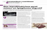 Infection à Mycobacterium avium Une mycobactériose peut ...c-vet.fr/IMG/pdf/une_mycobacteriose_peut_mimer_un_lymphome_digest... · biopsie ganglionnaire. ... A l’autopsie, l’hypertrophie