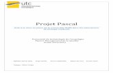 Projet Pascal - UTCmastermq/public/publications/qualite_et_management/MQ... · Aide à la mise en place de la norme ISO I5189 dans les laboratoires ... • the context in which the