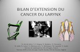 ILAN DEXTENSION DU CANCER DU LARYNX - pe.sfrnet.orgpe.sfrnet.org/Data/ModuleConsultationPoster/pdf/2013/1/b6f952d7-c... · • Anatomie –Descriptive –Radio-anatomie • Extension