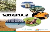 Gincana 3 - CBD · Fondation Nicolas Hulot pour la Nature et l’Homme ... Gincana 3 algae-grazing species and upsets the frag-ile balance of the ecosystem. Activities on