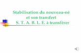 Stabilisation du nouveau-né et son transfert S. T. A. B. L ...acppmaroc.com/membre/18congres/samedi/TRANSPORT_NN.pdf · Le secret de la réussite des soins périnatals ... Apport