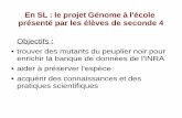 En SL : le projet Génome à l'école présenté par les élèves ...lycee-victorlouis.websco.fr/.../migration_websco/Actus/Genome.pdf · En SL : le projet Génome à l'école présenté
