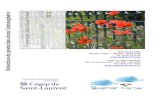 uff 12 ère - Qualitair Région Corse stage.pdf · uff 12 ère QUALITAIR CORSE Lieu ... 2007), tandis que le passage des molécules dans le compartiment aérien peut se faire de manière