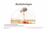 Radiobiologie - residentsmednuclrabat.e.r.f.unblog.frresidentsmednuclrabat.e.r.f.unblog.fr/files/2008/05/radiobiologie.pdf · Radiobiologie p.2 Plan Mécanismes au niveau moléculaire