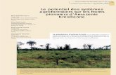 Le potentiel des systèmes agroforestiers sur les fronts ... · tema agroforestal, ganadería bovina, frente pionero, Amazonia ... 1 Il ne s’agit pas de présenter dans cet article
