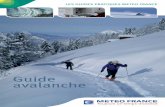 Guide avalanche - Météo-France · Plusieurstypesd’avalanche L’avalanche deneigerécente Laneigemiseenmouvementestpeuévoluée, sèche ou légèrement humide de faible cohé-sion