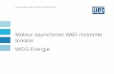 Moteur asynchrone W60 moyenne tension WEG Energie · Plus de 20 000h de R&D ... Ex nA II/A/IIB/IIC T3 Gc, Zone 2 ... QGI - FPSO P-75 and P-77 - Petrobras - Brésil 06x 950 kW 6P