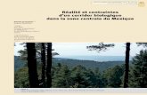 Réalité et contraintes d’un corridor biologique dans la ...bft.cirad.fr/cd/BFT_318_41-50.pdf · Photo 1. Forêt mixte d’oyamel,Abies religiosa, et pin, Pinus spp., dans le parc