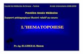 L’HEMATOPOIESE - cytogenetiquedesousse.y.c.f.unblog.frcytogenetiquedesousse.y.c.f.unblog.fr/files/2010/02/14lhmatopose.pdf · L’HEMATOPOIESE Faculté de Médecine de Sousse –