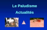 Le Paludisme Actualités - SPILF - Infectiologie · Les protozooses Author: JF Magnaval Created Date: 9/21/2011 9:48:32 PM ...