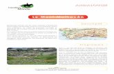 ANDALOUSIE Le Mont Mulhacén - cavaliers-du-monde.com · Guadalfeo et sur les sommets de l aS ie rCont v s. Ap ...