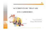 ACCIDENTS DU TRAVAIL EN CARRIERES - auvergne-rhone … · Pont roulant 0,2% Voies de circulation/sol (piétons, engins ... Sur l’exercice 2012, accidents du travail (hors trajet)