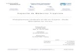 Capacité de Médecine Tropicale - u-bordeaux2-medtrop.org · Capacité de Médecine Tropicale 2014-2015 Dr DIONE Aïda 2 Histoplasmose Remerciements Aux membres du jury : Monsieur