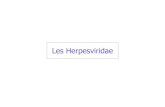 Les Herpesviridae - psychaanalyse.com HERPESVIRIDAE - DIAPORAMA (67... · 1. Caractères généraux des Herpesviridae • virus àADN bicaténaire • capside icosaédrique • enveloppe