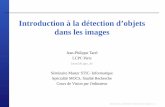 Introduction à la détection d’objets dans les imageselynxsdk.free.fr/ext-docs/Demosaicing/more/news1/fvo_jpt.pdf · Calcul de la carte de correlation´ : Pour chaque position,