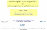 Microscopie à force magnétique et microscopie tunnel ...magnetism.eu/esm/2003-brasov/slides/thiaville-slides-2.pdf · Laboratoire de Physique des Solides Université Paris-Sud &