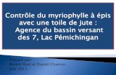 Contrôle du myriophylle à épis avec une toile de jute ...lacquenouille.ca/documents/MAE-EWM/MAE-ABV7-presentation-2015-06... · Une toile de jute a été installée en 2012 dans