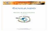 GINGANDO - Lyon Métropole Solidaire · La « ginga », ce mouvement de balancement ininterrompu, est le ... La Maison d'Amérique Latine en Rhône-Alpes, les associations de danse