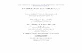 Acupuncture 3A MALADIES METABOL - lartetlavoie.free.frlartetlavoie.free.fr/pathologiemetaboliquemtcdrverdoux.pdf · Qui caractérise des états de ralentissement et d’obstruction