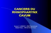 CANCERS DU RHINOPHARYNX CAVUM - chrysalides1215 · Zone à faible risque = 0.1 à 0.2/100 000 - Europe - USA - Australie – Nouvelle Zélande ! ... - T4 = tumeur dépassant les limites
