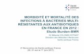 MORBIDITÉ ET MORTALITÉ DES INFECTIONS À BACTÉRIES MULTI ... · morbiditÉ et mortalitÉ des infections À bactÉries multi-rÉsistantes aux antibiotiques en france en 2012 : etude