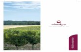 dossier de pressesommaire - vivelys.com · Le vin est la passion de Vivelys, tant par le plaisir du palais que par la magie de son élaboration. ... d’échange et de transparence