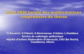 Atlas IRM fœtale des malformations - pe.sfrnet.orgpe.sfrnet.org/Data/ModuleConsultationPoster/pdf/2013/1/ffbb303a-a... · •P. Daltro, H. Werner, T.D. Gasparetto, R. Cortes Domingues.