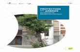 PROTECTION DES ARBRES EN RÉGION DE BRUXELLES … · • le service Inspectorat de l’IBGE ( inspection-inspectie@environnement. brussels) ; FICHE DE RÉACTION LOCALE | 1Bx • les