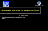 S RADIOLOGIQUE MEMBRE INFÉRIEUR - onclepaul.fronclepaul.fr/wp-content/uploads/2011/07/semio-imagerie-articulaire.pdf · SÉMIOLOGIE RADIOLOGIQUE: MEMBRE INFÉRIEUR ... Anatomie •