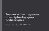 Imagerie des urgences uro-néphrologiques pédiatriques Imagerie des urgences uro... · la fonction rénale ... • Penser à une pathologie rénale ayant mené à un oligoamnios