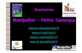 Montpellier – Petite Camargue - Offices de Tourisme de ... · Palavas les Flots Carnon La Grande Motte Port camargue Le Grau du Roi. La petite Camargue, destination Traditions.