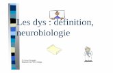 Les dys : définition, neurobiologiepedagogie.ac-toulouse.fr/ien09-saint-lizier/spip/IMG/pdf/Les_dys... · C’est par l’étude de cerveaux de personnes décédées lors d’AVC