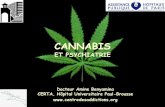 CANNABIS ET PSYCHIATRIE - anp3sm.comanp3sm.com/wp-content/uploads/2014/06/Benyamina-Canabis-et-psychia... · Nombre de consommateurs de drogues en France métropolitaine en 2005,