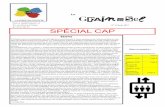 N° 45 Juin 2017 SPÉCIAL CAP - snuter-fsu.fr · N° 45 Juin 2017 Le LA FORCE DU COLLECTIF ÉDITO Page 1 Tableau CAP C Page 2 Tableau CAP B Groupe III Groupe IV Page 3 Tableau CAP